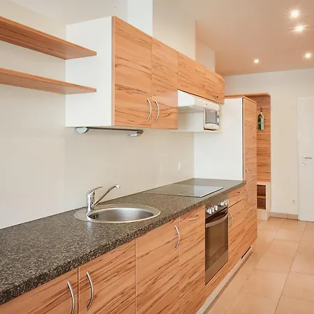 In - Salzburger Land 41626 Apartment *
